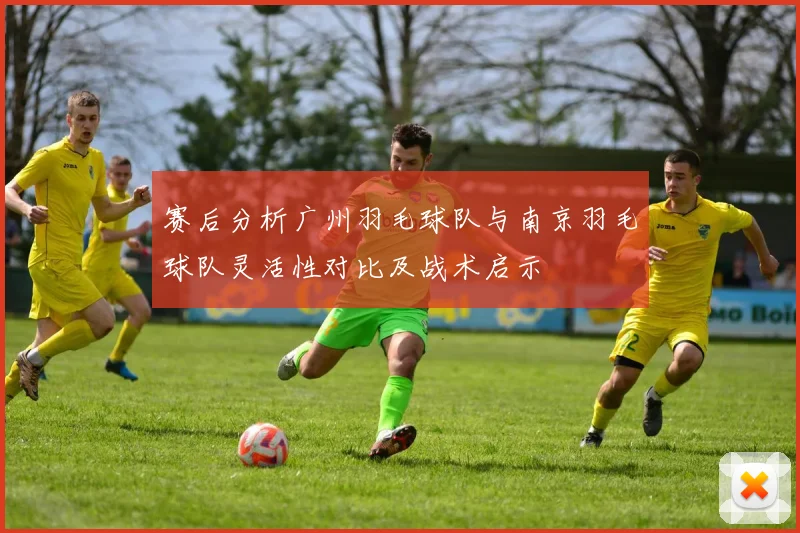赛后分析广州羽毛球队与南京羽毛球队灵活性对比及战术启示