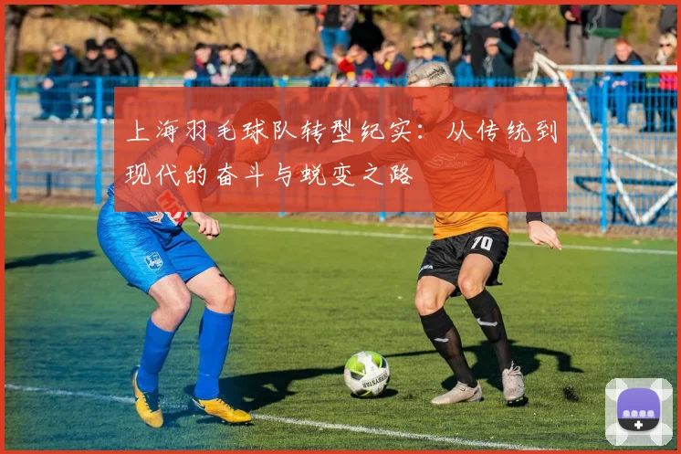上海羽毛球队转型纪实：从传统到现代的奋斗与蜕变之路